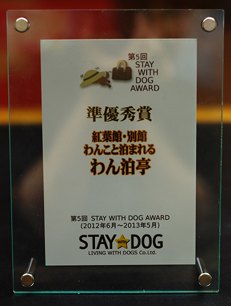 staywithdogs